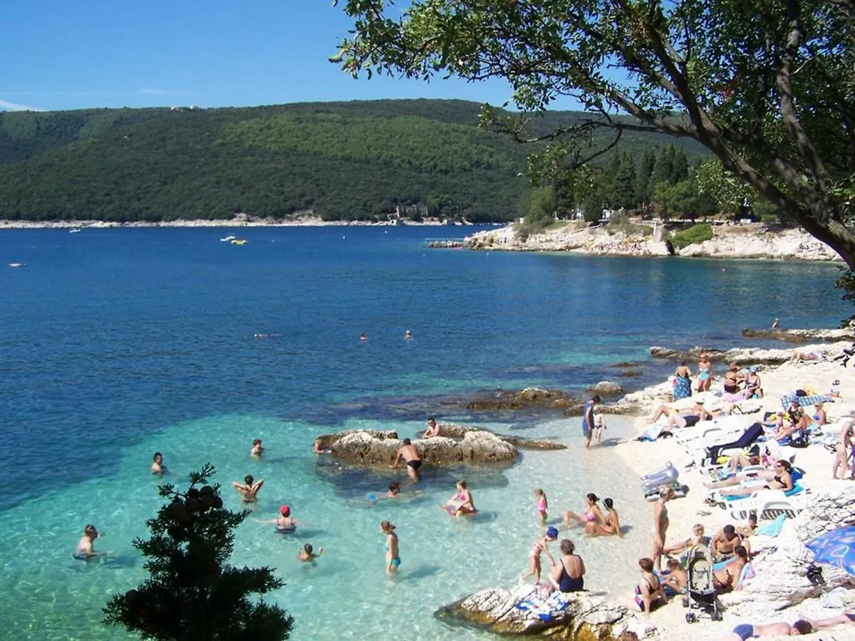 Holiday home Villa Labin In Zartinj - Luxury Privacy Heated Pool With Auto Cover Croatia